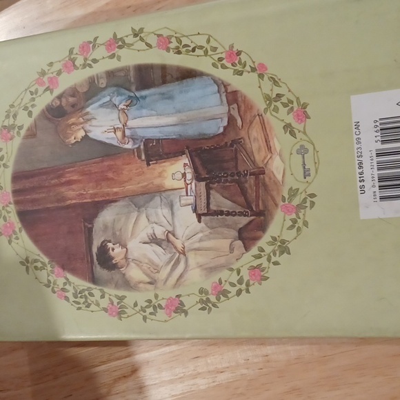 THE SECRET GARDEN CHAPTER BOOK - Picture 8 of 11